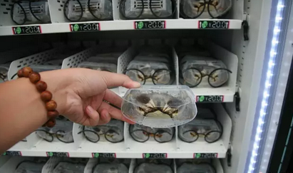 918博天堂(中国区)官方网站